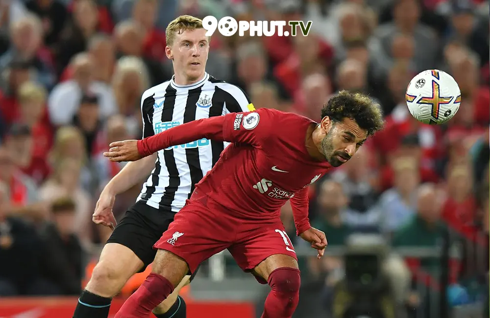 Nhận định soi kèo Newcastle vs Liverpool, 22h30 27/08/2023