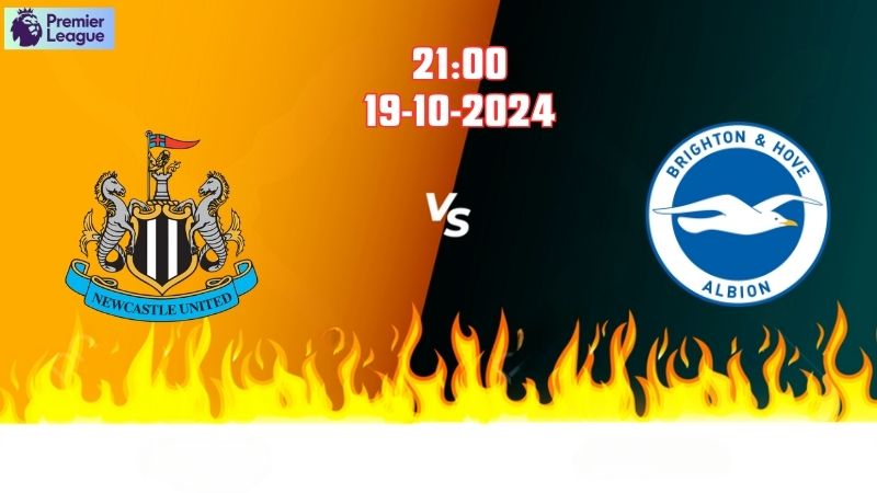 Soi kèo bóng đá Newcastle vs Brighton lúc 21h00 ngày 19/10